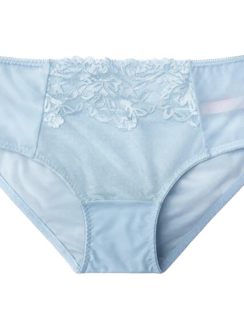Splendies Blue Celina Lace Bikini Panties Size 4x Floral Lingerie Underwear New